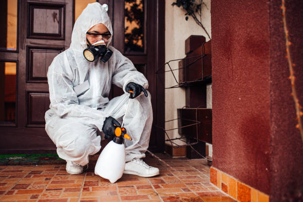 Reliable Cockroach Control contractor in Johnstonville, CA by Nex Pest Control